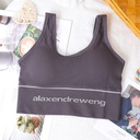 [10014] (CLEAR STOCK) W-B003 Bra Sport Bra Gym Olahraga Wanita Tanpa Kawat Elastis Underwear Female Motif Polos B03 (W-B003-AW/Dark Gray)