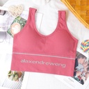 [10017] (CLEAR STOCK) W-B003 Bra Sport Bra Gym Olahraga Wanita Tanpa Kawat Elastis Underwear Female Motif Polos B03 (W-B003-AW/Red)