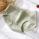 [10059] (CLEAR STOCK) W-CD003 Celana Dalam Wanita Antibakteri Graphene Katun Hight Quality Terbaru (W-CD003-Green)