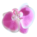 [10302] JR-A013 Jepit Bunga Hiasan Rambut Wanita Anggrek Kupu-Kupu Hairclip Flower Orchid Korean Style Aksesoris (JR-A013-White/Purple)