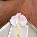 [10311] JR-A013 Jepit Bunga Hiasan Rambut Wanita Anggrek Kupu-Kupu Hairclip Flower Orchid Korean Style Aksesoris (JR-A013-White Line/Purple)