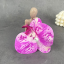 [10312] JR-A013 Jepit Bunga Hiasan Rambut Wanita Anggrek Kupu-Kupu Hairclip Flower Orchid Korean Style Aksesoris (JR-A013-Pink/Shades)